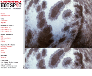 hotspotappaloosa.com: Home : HotSpot Appaloosa
