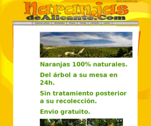 naranjasdealicante.com: Página principal - Naranjas de Alicante
Nuestra Tienda Online