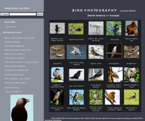 onejackdaw.com: Hilke Breder's Photographs of North American Birds
I am keeping this website as a record of all the birds I have seen and by inference of all the places I have visited. These photographs are a record of my encounters and an aid to bird identification, not an attempt to create outstanding images