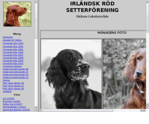 irishredsetter.net: ISF - Skånes lokalområde
Vlkommen till Irlndsk rd setter frening lokalomrde Sknes hemsida