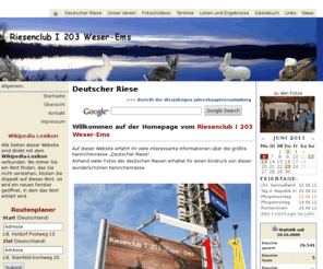 deutscherriese.de: Deutscher Riese
Riesenclub I 203 Weser-Ems, Informationen über Deutsche Riesen, Rasse Deutscher Riese und vielen Fotos von den Riesenkaninchen