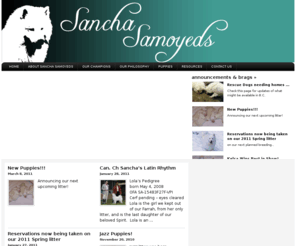 sanchasamoyeds.com: Sancha Samoyeds
