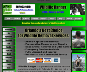 wildliferanger.net: Wildlife Ranger Orlando
Wildlife Removal Orlando. Professional Wildlife Removal Services by Wildlife Ranger.