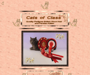 catsofclass.com: Cats Of Class
Breeders of Quality British Short Hair,
Persian and Exotic kittens. GCCF Registered