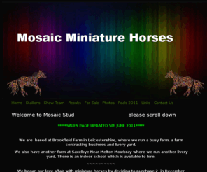 mosaic-miniaturehorses.com: Home -
Breeder of quality, colourful miniature horses. With correct conformation.