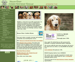 goldenrescuenc.org: Neuse River Golden Retriever Rescue
NRGRR (Neuse River Golden Retriever Rescue) is a non-profit organization dedicated to finding permanent homes for golden retrievers in need. NRGRR is managed and run by volunteers whose efforts are dedicated to preserving the breed.  NRGRR serves eastern North Carolina.