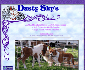dustyskys.com: Dusty Sky's Miniature Horse Ranch
A family owed miniature horse ranch, providing quality SALES and BREEDING of AMHA registered miniature horses, from Central Oregon.
