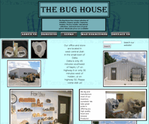 thebughouse.net: The Bug House
The Bug House is your retailer/dealer for authentic fossils and minerals. Our products include trilobites, dugway geodes, septarian nodules, picasso marble, educational kits, and more! Wholesale prices are available!