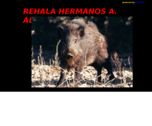 rehalahermanosaalvaro.es: REHALA HERMANOS A. ÁLVARO
