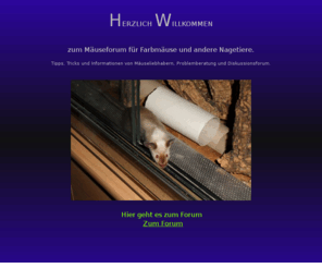 maeusetreff.com: Mäusetreff- Forum über Farbmäuse und andere Nagetiere
Mäuseforum- Tipps und Tricks und Informationen für Nagetiere.Farbmäuse und alle Nagetiere.Hamster,Hasen,Rennmäuse usw.