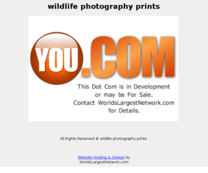 wildlifephotographyprints.com: wildlife photography prints
wildlife photography prints.