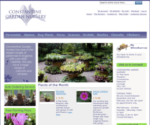 firtreefarmnursery.co.uk: Constantine Garden Nursery, Cornwall stocks one of the largest ranges of perennials
Fir Tree Farm Nursery stocks one of the largest ranges of perennial plants in the UK.