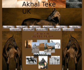 akhaltekeuk.com: Akhal Teke UK- Home
Akhal Teke UK LTD Home