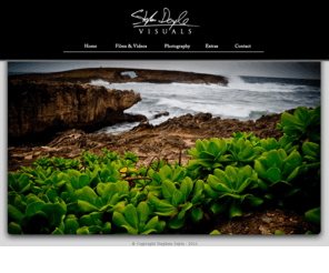 sdvisuals.com: Stephen Doyle Visuals
