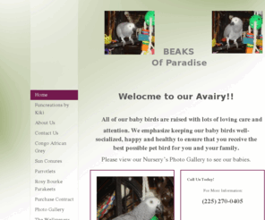 beaksofparadise.com: Beaks of Paradise - Welocme to our Avairy!!
Beaks of Paradise, avairy, birds, Congo African Greys, Bird Toys