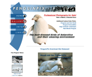 penguinflix.net: Penguin Photos / Pictures and Antarctica Posters at PenguinPix . com
Penguins, penguin photos, penguin pictures, penguin videos, penguin photo cd, penguin posters and Antarctic landscapes at PenguinPix.com