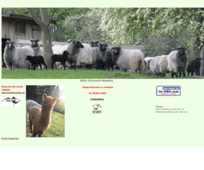 schnuckiranch.de: Heidschnucken und Alpakas im Odenwald
Heidschnuckenhaltung als Hobby