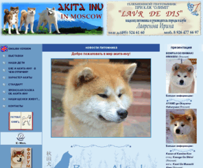 akita-inu.ru: Акита-ину в Москве - питомник Лавр Дэ Дис, японская акита
Племенной питомник Лавр дэ Дис - информация о породе акита-ину, выставки, разведение, щенки, история породы акита-ину, характер акиты, стандарт, характер акиты, бяс и акита-ину в чем отличия