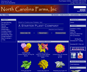 ncfarmsinc.com: North Carolina Farms Inc.  - North Carolina Farms Inc.
The Starter Plant Specialist The Starter Plant Specialist