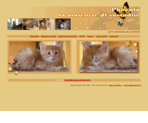 phoenia-thecat.com: PHOENIA - la mascotte di Sw Studio !!
