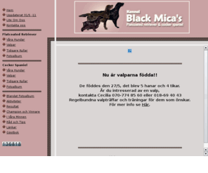 blackmicas.se: Black Mica's Kennel
