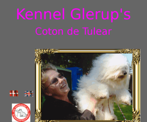 kennel-glerups.dk: Glerup's Coton de Tuléar
