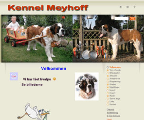 kennel-meyhoff.dk: Kennel Meyhoff - Velkommen
Kennel  for den store imponerende Sankt  Bernhardshund