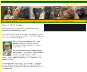 oakshot.com: Graham Slater: Oakshot Gundogs, gundog training in Yorkshire
Graham Slater: Oakshot Gundogs, gundog training in Yorkshire