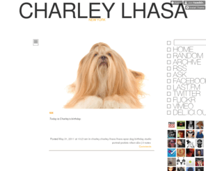 charleylhasa.com: Charley Lhasa
NEW YORK