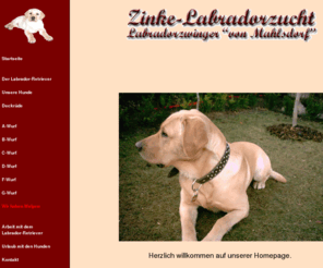 spiele-center.net: Zinke-Labradorzucht
Hier finden Sie Informationen zum Labrador und unserer Zucht
