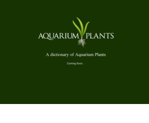 aquarium-plants.com: Aquarium Plants
A dictionary of Aquarium Plants