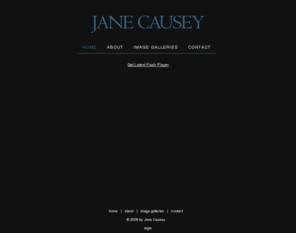 janecausey.com: Jane Causey
An extraordinarily versatile and prolific artist, she has enjoyed success in portraiture and still life.