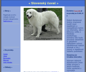 cuvac.info: Slovenský čuvač na Cuvac.info
