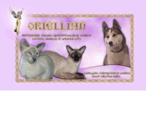 oriellind.com: ORIELLIND: Питомник сиамо-ориентальных кошек. Западно-сибирские лайки
ORIELLIND: Питомник сиамо-ориентальных кошек. Западно-сибирские лайки. (Украина, Донецк)