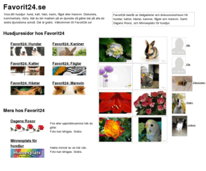 favorit24.se: Favorit24.se: Hundar Katter Hästar Kaniner Fåglar Marsvin Minnesplats husdjur Dagens Rosor - Favorit24.se
Visa upp ditt husdjur. Kommentera, rösta och diskutera. Hundar, katter, hästar, kaniner, fåglar och marsvin. Här finns även Dagens Rosor och Minnesplats för husdjur. Välkommen till Favorit24.se
