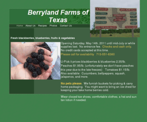 berrylandfarmsoftexas.com: Home
Gardening Service