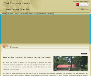 york-vet.com: Yorktown Veterinary | Yorktown vaccinations | Grafton vaccinations | Gloucester surgery
Yorktown Veterinary specializing in vaccinations, surgery, boarding, grooming, dental serving Yorktown, 23692, Grafton, Gloucester, Newport News, Williamsburg