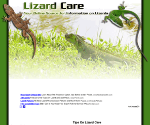 lizard-care.com: Tips On Lizard Care
Lizard care can take a lot of work and time. The first thing you need to have before bringing your lizard home is a house for him. There are many kinds of shelters you can buy, such as an aquarium or large water bowl to aboreal and terrestrial vivariums. The biggest mistake many people make is underestimating how much room they need for housing a lizard. A leopard gecko needs to have a living space that is 30cm x 20 cm. An iguana, however, needs at least an enclosure that is 2m x 2m x 1.5m.