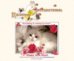 ragdollinternational.org: Ragdoll International - Ragdoll Cats, Kittens, Ragdoll Breeder Directory
The official and newest site of Ragdoll International is a TICA club for owners and breeders of ragdoll cats and contains pictures, information and a great breeder's directory of the best breeders in the world.