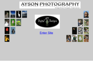 aysonphotography.co.nz: Ayson Photography Home Page
Ayson Photography, Stock photography, Gift Cards, Photography Services, Stock Photos,panoramic photos, new zealand photos, NZ photography, NZ photos, otago, peninsula, otago peninsula images, NZ Birds, Landscape photography, scenic photography, photo art.