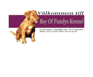 bayoffundyskennel.com: Bay Of Fundys Kennel
Vlkommen till Bay Of Fundys Kennel i Uddevalla!