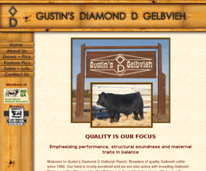 gustinsdiamondd.com: Available Livestock at Gustin's Diamond D Gelbvieh Cattle - Bulls and Cows - American Gelbvieh Association member
Welcome to Gustin's Diamond D Gelbvieh Ranch. Breeders of quality Gelbvieh cattle since 1982. As member of the American Gelbvieh Association, our herd is mostly purebred and we are also active with breeding Gelbvieh Balancer cattle. We annually offer Balancer bulls and females along with our purebred cattle at our sale. We also exhibit our livestock at local bull showcases and all breeds cattle tours. We enjoy visiting with other cattlemen about their programs.