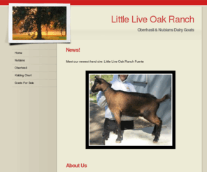 littleliveoakranch.com: Home - Little Live Oak Ranch
We are the home of champion dairy goats! Located in the the beautiful eastern hills of Napa. We raise 4 different rare breeds.