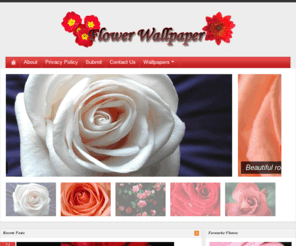 wallpaper-flower.com: Flower Wallpaper - Photos, Background
Flower Wallpaper - Photos, Background and more