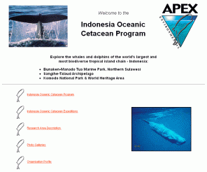 apex-environmental.com: Indonesia Oceanic Cetacean Program- Index
The Indonesia Oceanic Cetacean Program focuses on oceanic whale and dolphin research and marine environmental education programs in northern Sulawesi and Komodo.