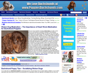 puppiesdachshunds.com: Dachshund Puppies - Everything Your Dachshund Puppies Need
Dachshund Puppies Make Great Pets - Supplies, Accessories and Education for Your Dachshund Puppy