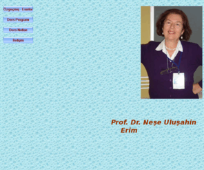 neseerim.com: Prof. Dr. Nese Erim
