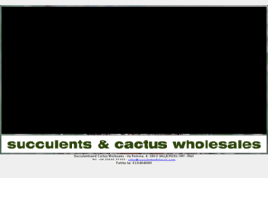 kakteenundsukkulenten.com: Succulents and Cactus Wholesale
