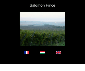 salomonpince.com: Salomon accueil
Vignoble Hongrois Vente de vins