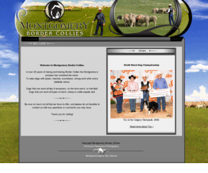 montgomerybordercollies.com: Montgomery Border Collies
Montgomery Border Collies - Maple Creek, SK